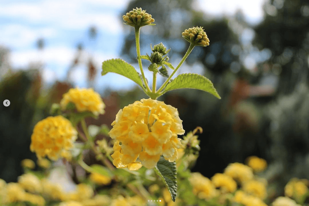 Creative photography composition