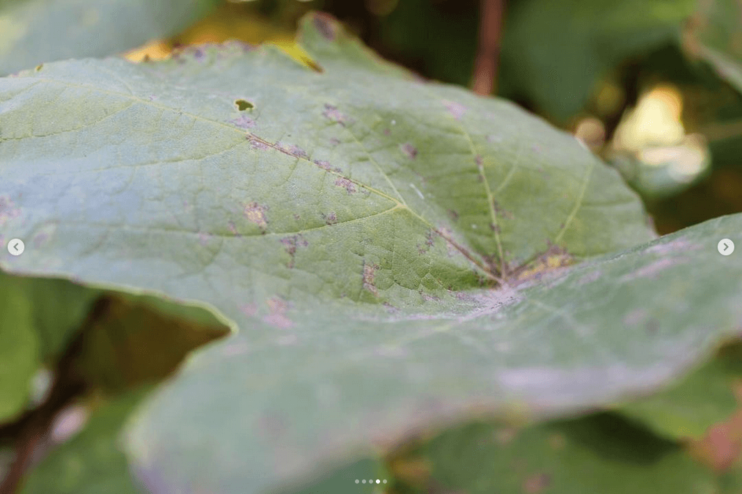 Professional headshot photography